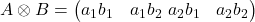  A \otimes B = \begin{pmatrix} a_1 b_1 & a_1 b_2 \ a_2 b_1 & a_2 b_2 \end{pmatrix} 
