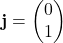 \mathbf{j} = \begin{pmatrix} 0 \\ 1 \end{pmatrix}